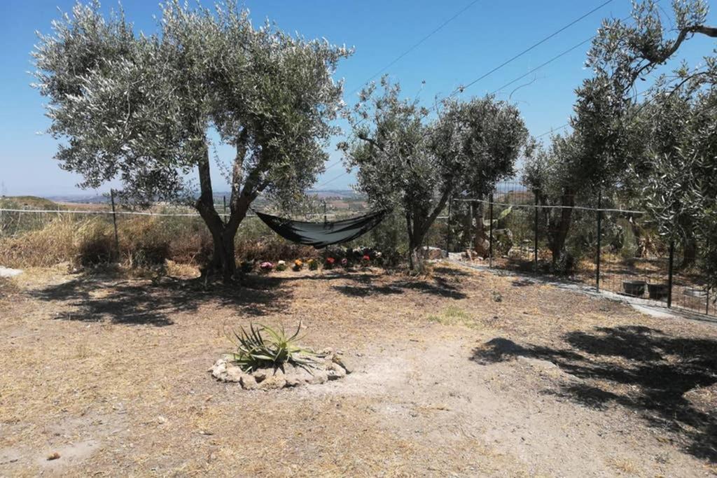 Villa Emma Con Panorama Etna A 10 Minuti Dal Mareレンティーニ エクステリア 写真