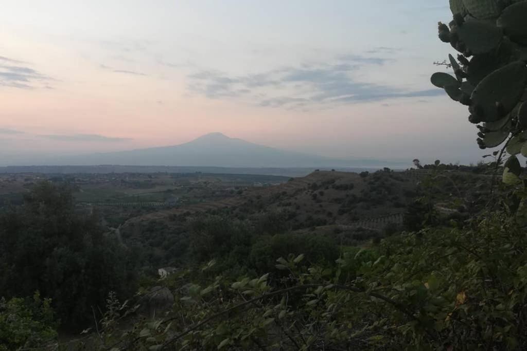 Villa Emma Con Panorama Etna A 10 Minuti Dal Mareレンティーニ エクステリア 写真